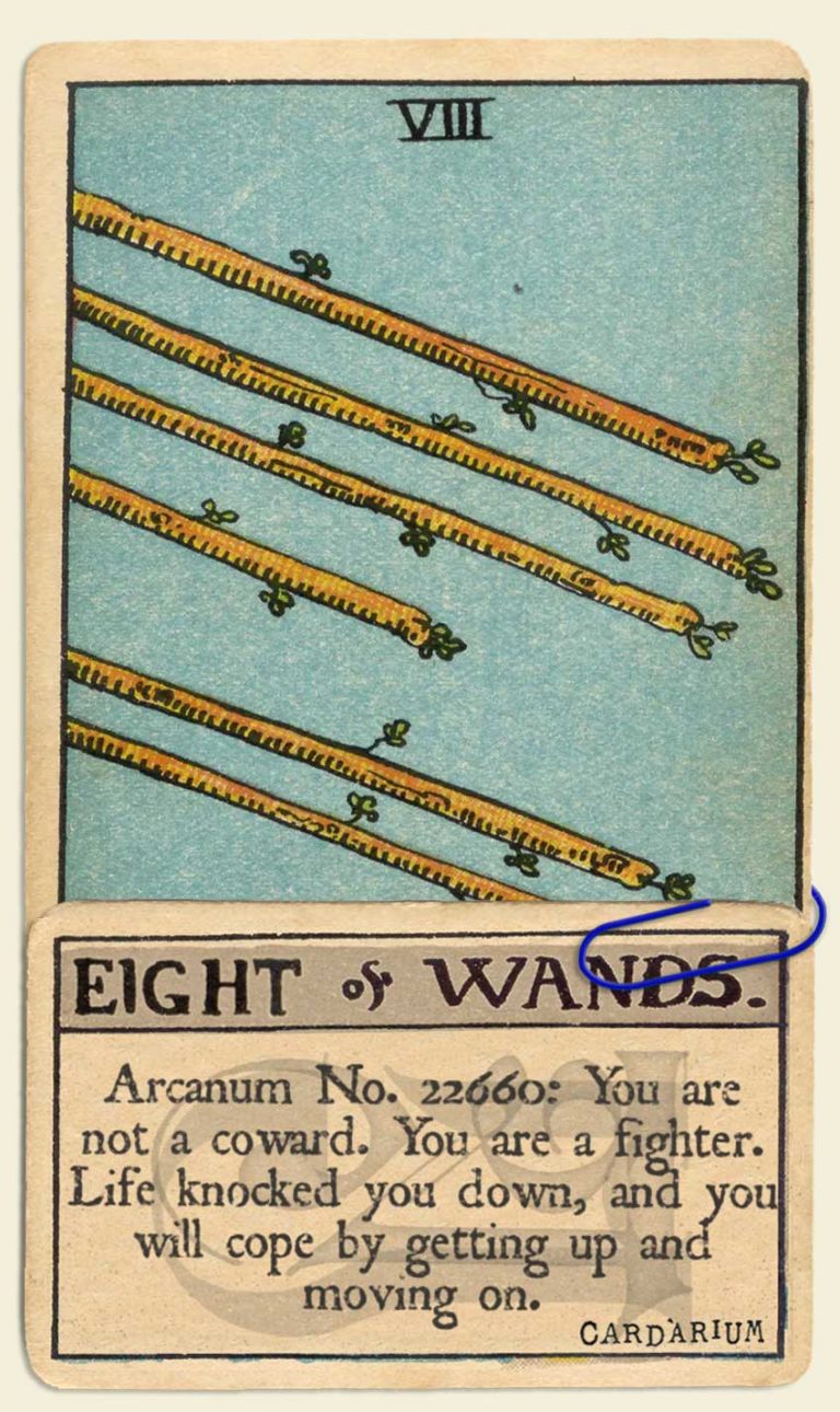 8 of wands 31
