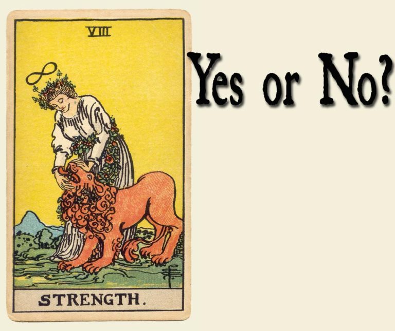 Ace of Cups Yes or No? ⚜️ Cardarium ⚜️