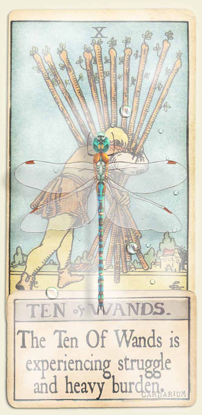 Water signs tarot 10 of wands