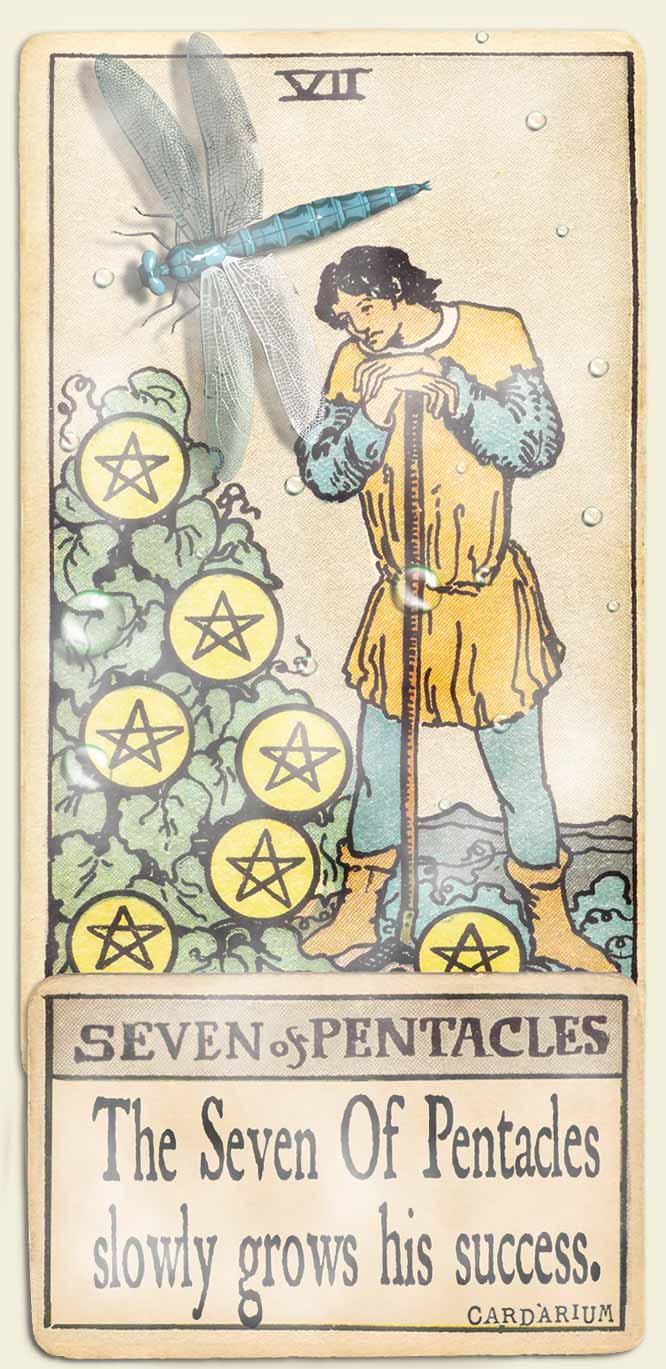 Water signs tarot 7 of pentacles