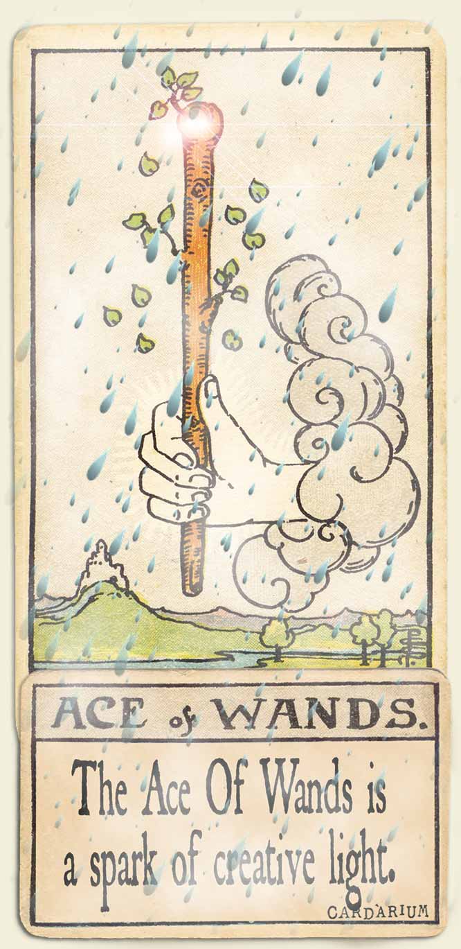 Water signs tarot Ace of wands