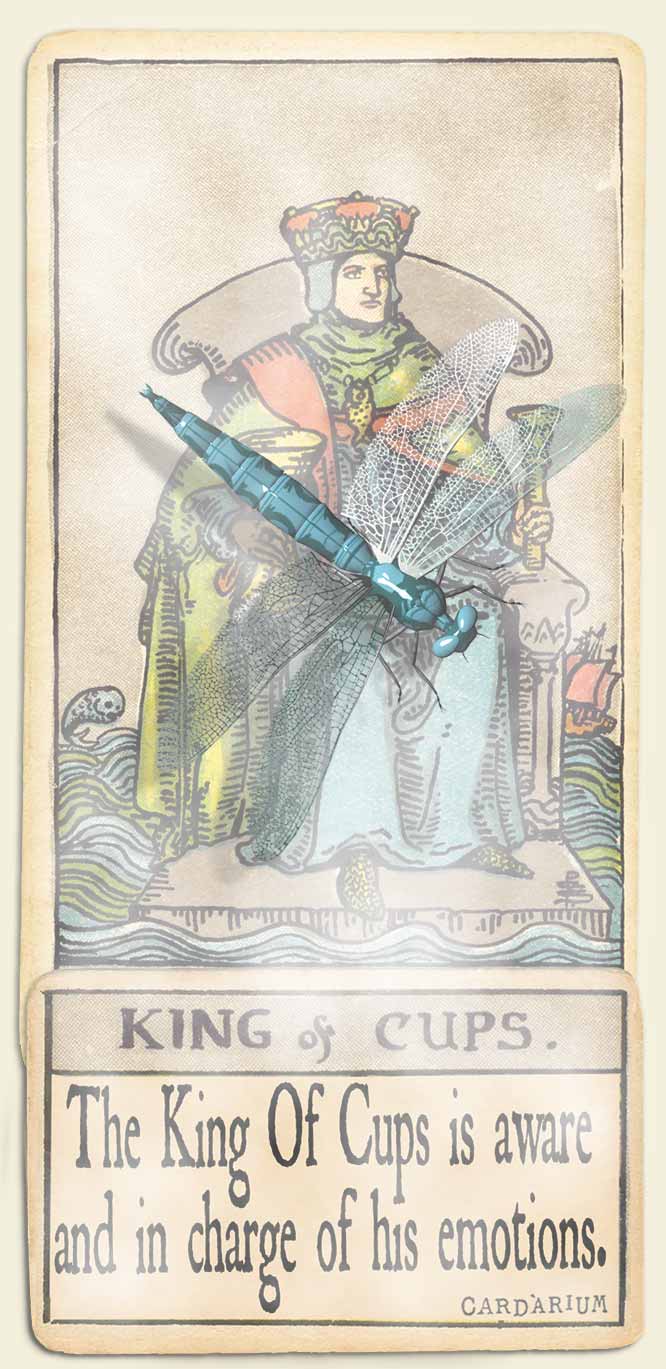 Water signs tarot King of cups