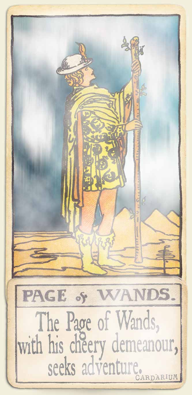 Water signs tarot Page of wands a